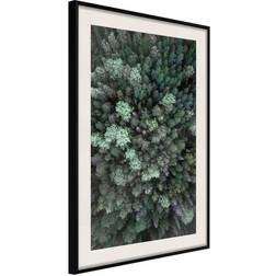 Arkiio Affisch Flying Over Forest [Poster] 40x60 Poster